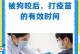 狗狗打疫苗的时间表（掌握疫苗注射时间，守护狗狗健康）