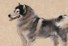 以斗牛犬野营的生肖探秘（探索斗牛犬作为生肖的特点及野营活动）