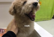 狗狗绝育手术（探究狗狗绝育手术的康复过程及时间）