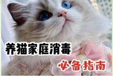 猫咪中毒后的专业护理（以猫咪消毒液中毒为例，让宠物恢复健康）