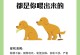 狗为什么总是呕吐？（深入探究狗常呕吐的原因及预防方法）