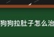 狗狗生宝宝拉稀的原因及应对方法（宝宝健康问题从饮食着手，多掌握这些小技巧！）