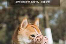 宠物狗乱吃东西的危害（狗狗食欲旺盛，主人须慎防“乱吃东西”！）