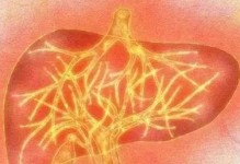 宠物口腔健康，你不能忽视的重要性（了解宠物口腔护理知识，让宠物更健康）