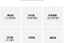 小狗的喂食频率与时间安排（了解小狗的饮食需求，合理安排喂食时间）