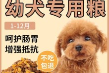 两月金毛幼犬的适量饮食（正确喂养金毛幼犬的秘诀）