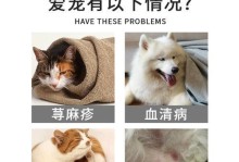 给狗补充维生素B，提升健康（探索宠物狗维生素B的重要性和最佳补充方式）