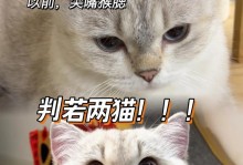 猫为什么会掉毛？（探究猫掉毛的原因与预防方法）