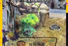 绿鬣蜥需要多久的太阳浴？（揭秘绿鬣蜥晒太阳的最佳时长及相关注意事项）