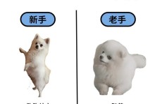 以博美狗喂什么？（为你的博美狗提供健康饮食的关键）
