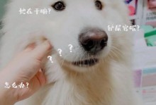 让狗迷糊？药物是个危险的选择（保护宠物安全，远离药物诱惑）