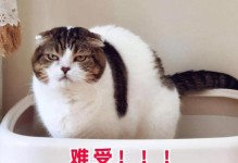 小猫喂养指南（探究刚出生的小猫每次喝奶的时间间隔和数量）