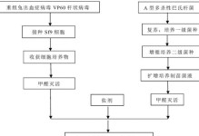 宠物兔的疫苗接种时间表（了解宠物兔的疫苗接种频率，保护爱宠健康）