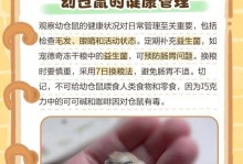 仓鼠宝宝断奶时间的选择（从仓鼠宝宝的成长到断奶，了解合适的时机）
