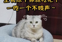 四周的猫咪吃什么？（了解四周大猫咪饮食的重要性与健康建议）