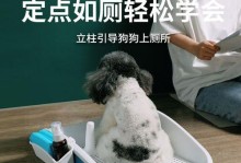 教你如何训练成年狗狗改用狗厕所