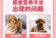 产后狗狗断奶时间的重要性（科学护理助狗狗健康成长）