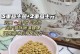 以处方粮为食物，你可以吃多久？（探索处方粮的食用周期，帮助你做出明智的选择）