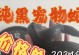 拥有宠物蛇的乐趣与便宜（探索适合家庭的经济型宠物蛇）