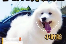 小狗何时适合以肉食为主餐？（探索小狗食谱的营养需求与成长阶段）