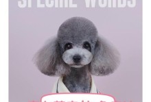 泰迪犬眼睛发炎的原因及防治方法（探究泰迪犬眼睛发炎的主要原因，提供有效的防治方法）