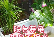 家养乌龟（乌龟饮水的重要性及适当的水质维护）