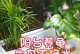 家养乌龟（乌龟饮水的重要性及适当的水质维护）