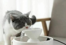 如何让猫咪喝水？四种简单方法帮助猫缓解缺水问题（给猫咪提供饮水的有效方法，保持它们健康快乐）