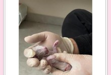 母猫下崽后多久可以再怀孕？（了解母猫的生理周期和繁殖规律）
