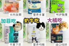 小猫的营养需求（科学合理的饮食安排确保小猫健康成长）
