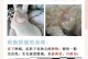 预防狗狗患上脂肪瘤的三招（保护你的狗狗免受脂肪瘤的侵害）