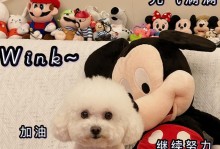 如何给狗狗提供足够的能量（探索狗狗能量需求与满足的方法）