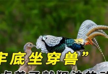 适合放养的动物们——自然与人类和谐共生的选择（探索放养动物的选择与利益，为生态保护注入新动力）