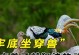 适合放养的动物们——自然与人类和谐共生的选择（探索放养动物的选择与利益，为生态保护注入新动力）
