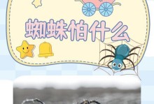 蜘蛛（探索蜘蛛的世界，揭开神秘的面纱）