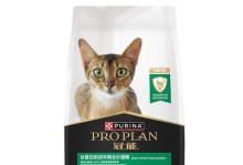 猫咪绝育的最佳时间及英短绝育时间选择