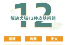 治疗猫得毛囊炎的药物及建议（了解猫得毛囊炎的症状和治疗方案，为你的猫咪提供帮助）