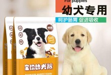 小金毛吐狗粮怎么办？（宠物爱好者必看，解决小金毛吐狗粮的方法！）