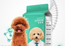 狗狗的健康与奶糕的关系（探寻狗狗奶糕的营养价值和食用禁忌）