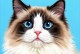 猫咪为何没有狗狗的忠诚？（探究猫咪行为特点及其与忠诚度的关系）