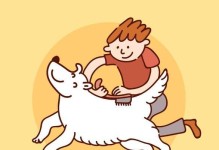 梳毛狗狗的6大好处，让它更健康快乐（了解为什么梳毛对你的狗狗如此重要）