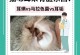 揭秘猫耳朵内的白色物质（白色物质的成因与影响）