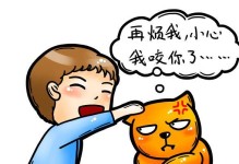 小猫为何总是挠身上？（探究宠物小猫挠身上的原因和解决方法）