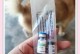 犬瘟疫苗的有效期与注意事项（探究犬瘟疫苗的保护期长短及延长方法）