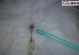 小狗肛门液体的成因及处理方法（了解小狗肛门液体的成分和原因，以及正确的处理方式）