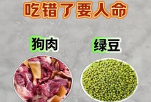 宠物狗的禁食之物——以土狗什么不可以吃（了解土狗的饮食禁忌，守护宠物的健康）