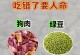 宠物狗的禁食之物——以土狗什么不可以吃（了解土狗的饮食禁忌，守护宠物的健康）