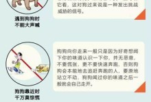 带宠物游阿拉斯加需注意的15个事项（从准备出发到旅途中的细节，宠物主人必须知道的注意事项）