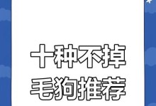 拥有大型狗却不用担心掉毛问题的品种有哪些？（探索不掉毛的大型狗品种，解决毛发过敏困扰）