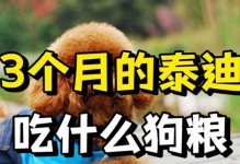 泰迪狗宜吃的水果有哪些？（了解泰迪狗的饮食需求，为它们选择适合的水果）